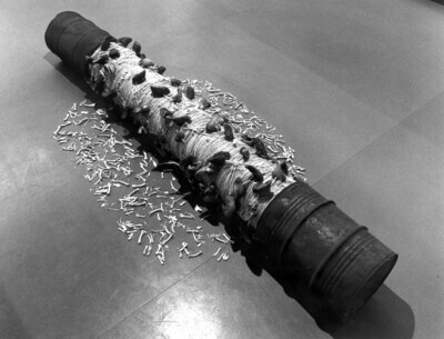 1981_1990\1984.0300zw.jpg; 1984.0300; ;